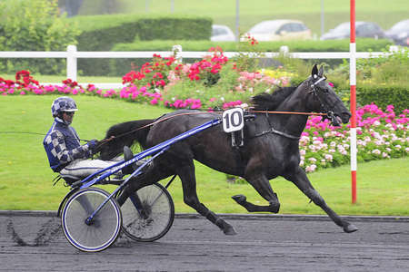 Actualités Hippiques